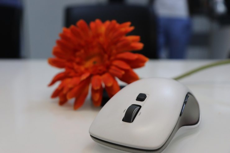 Quels sont les différents types de souris pour ordinateurs?