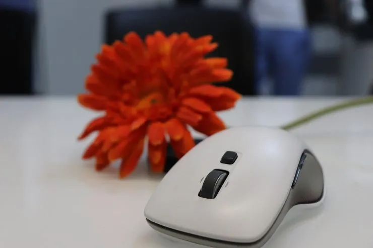 Quels sont les différents types de souris pour ordinateurs?