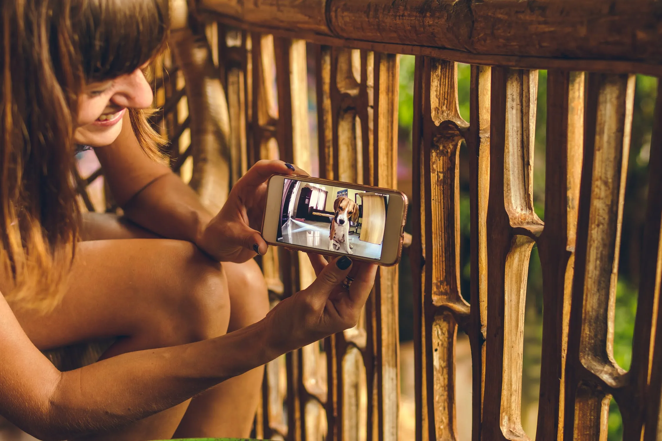Les 5 meilleures applications Android pour votre chien et vous