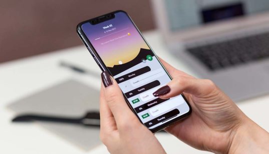 Une coque de smartphone élégante pour son iPhone 11 Pro