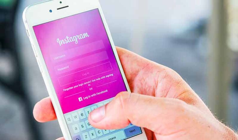 insta audience