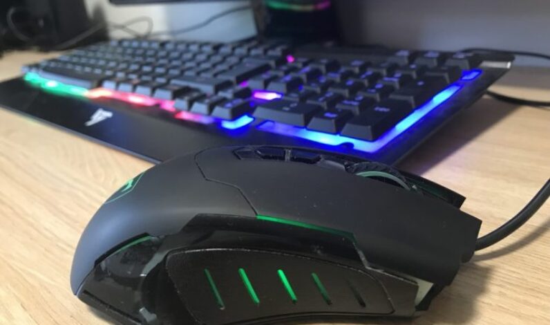 souris ergonomique