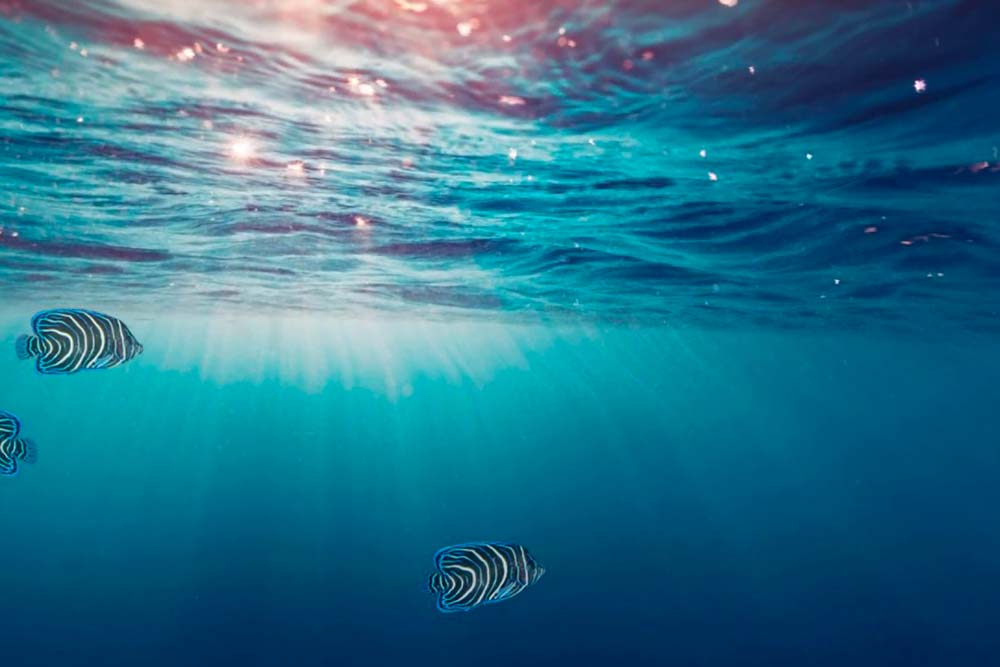 Voici de très bons fonds d'écrans animés qui ne tueront pas votre batterie