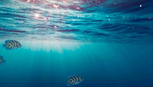 Voici de très bons fonds d'écrans animés qui ne tueront pas votre batterie