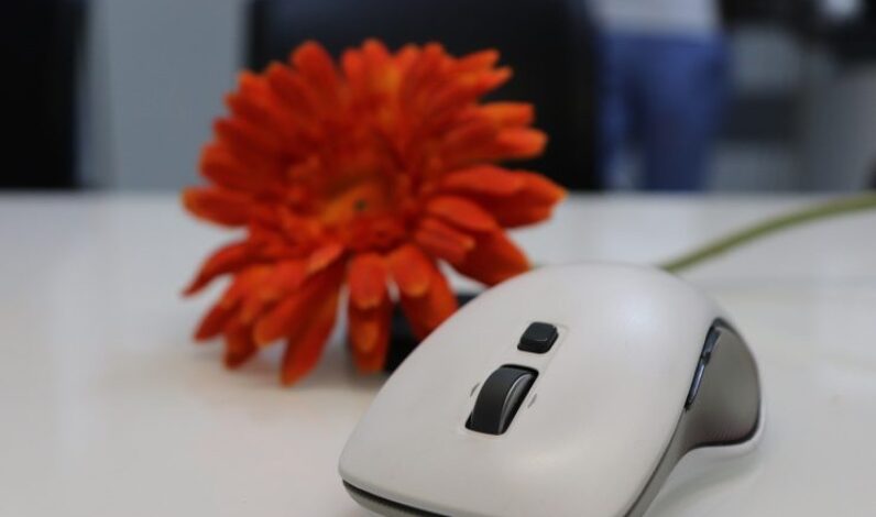 Quels_sont_les_différents_types_de_souris_pour_ordinateurs?