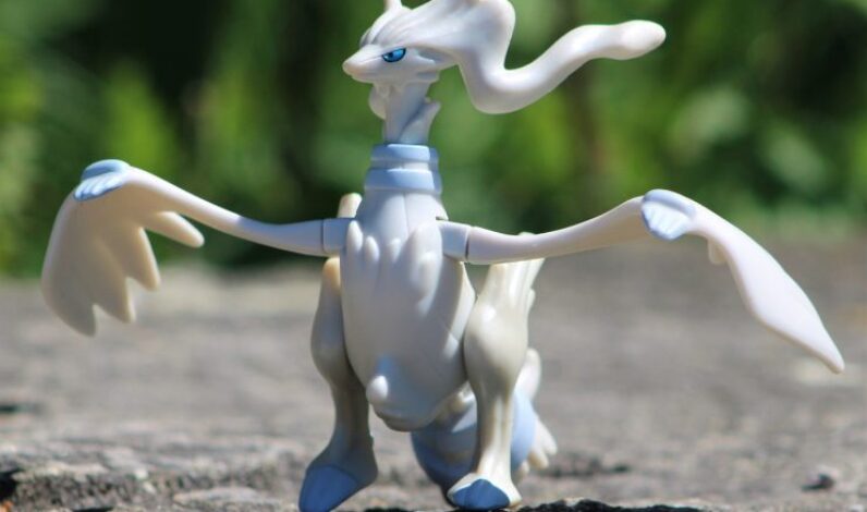 Décorer_une_chambre_avec_des_collections_de_figurine_Pokémon