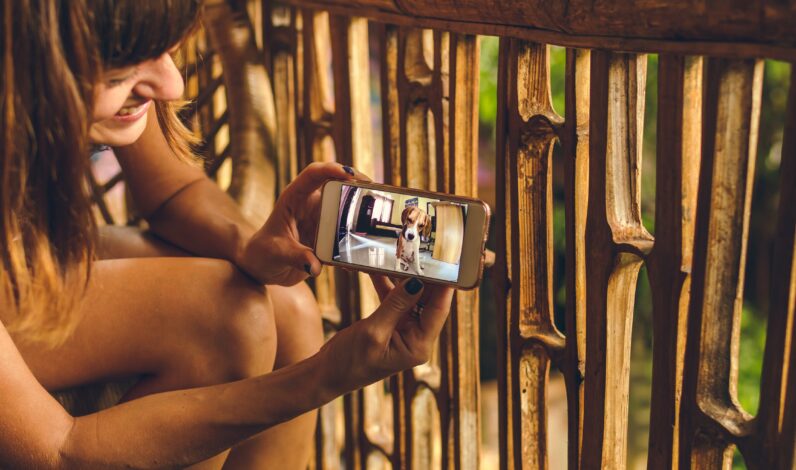 Les 5 meilleures applications Android pour votre chien et vous