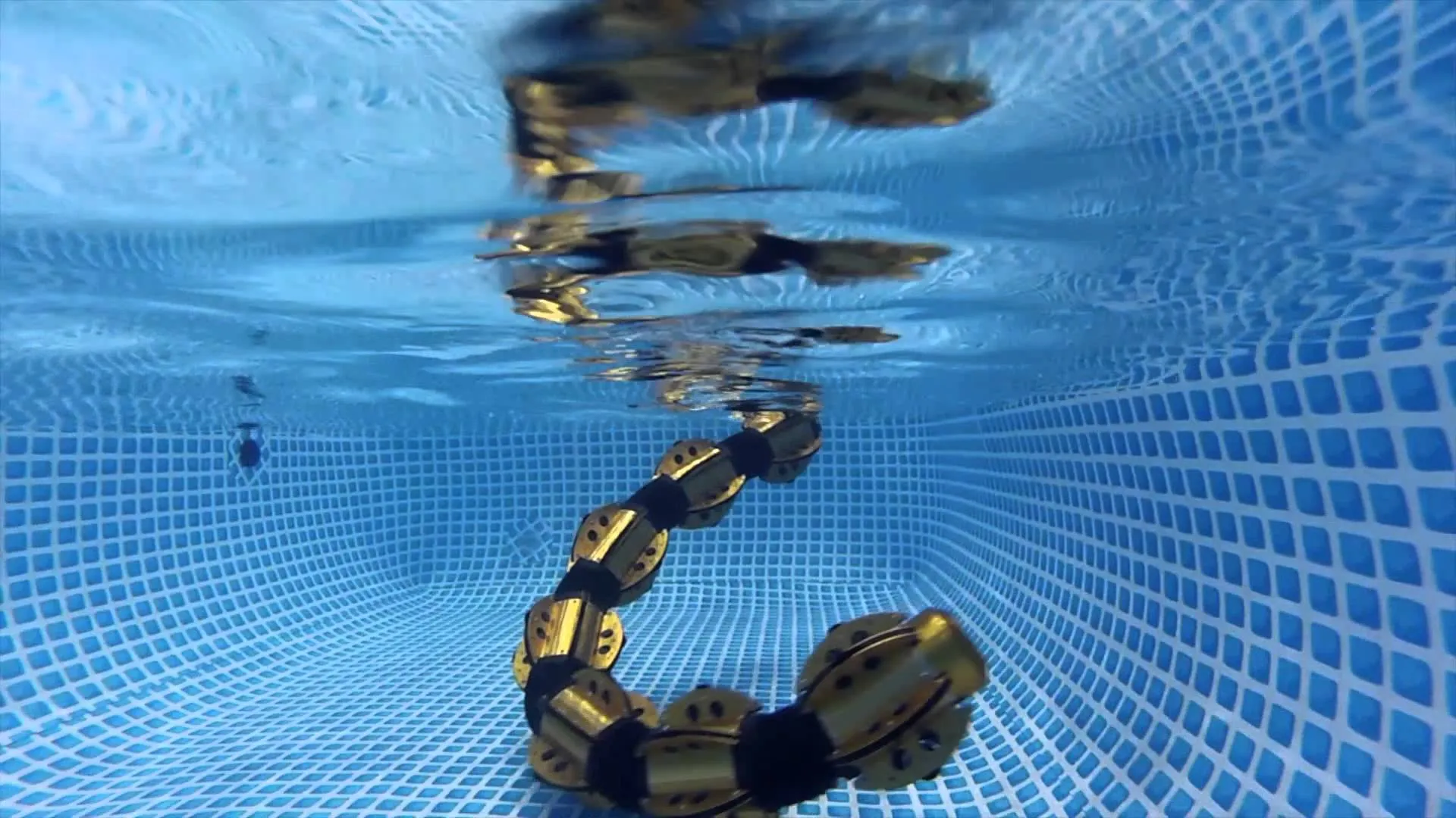 Snakebot, le robot serpent