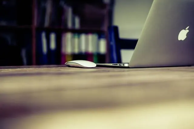 Apple Book virus