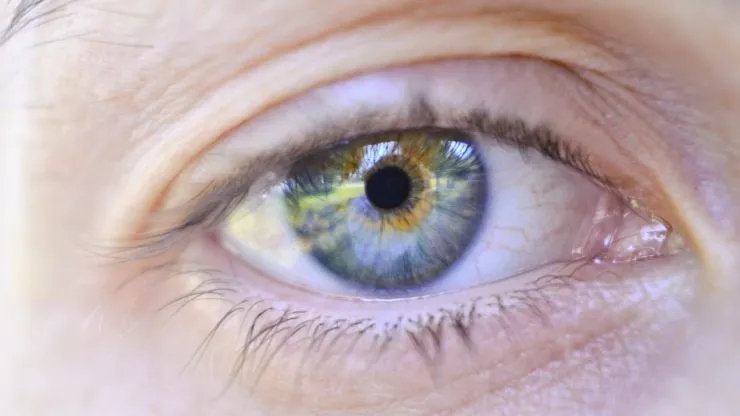 Pour ou contre le smart contact ?