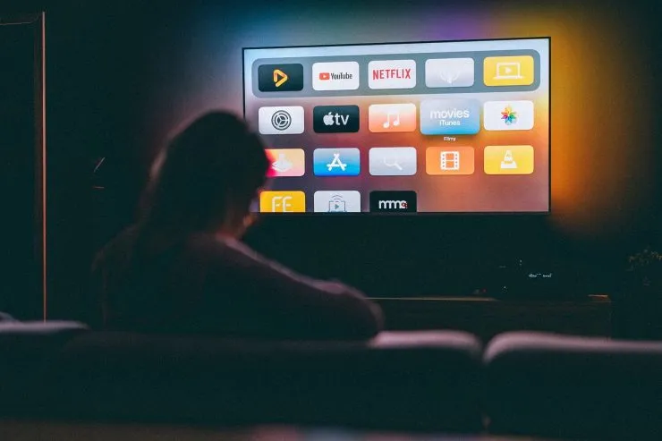 La SVOD n’est plus à présenter