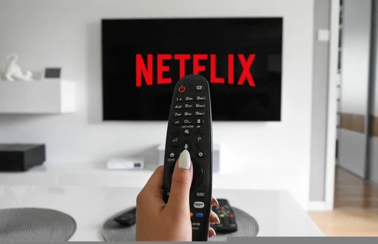 Netflix le précurseur