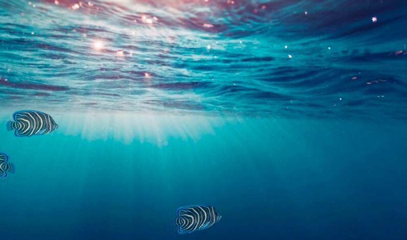 Voici de très bons fonds d'écrans animés qui ne tueront pas votre batterie