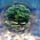 L_avenir_de_la_technologie_verte_et_comment_cela_peut_vous_aider
