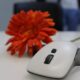 Quels_sont_les_différents_types_de_souris_pour_ordinateurs?